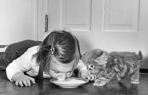 Top 45+ Adorable Vintage Photos Showcasing The Timeless Bond Between Kids And Cats, As Collected By This Page