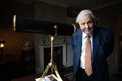 The best Sir David Attenborough documentaries and where to watch them