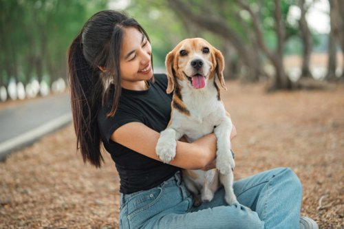 The most common mistakes dog owners make