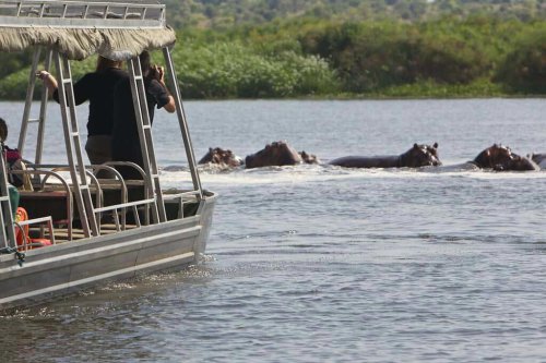 Where to Take a Boat Safari With Hippos and Crocodiles