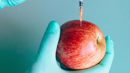 Top 10+ Top Causes of Food Recall &amp; 10 Tips to Prevent Food Contamination