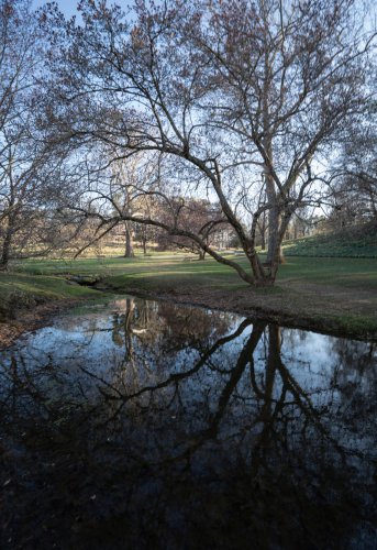 These Delaware towns were named 'most beautiful' to visit in spring