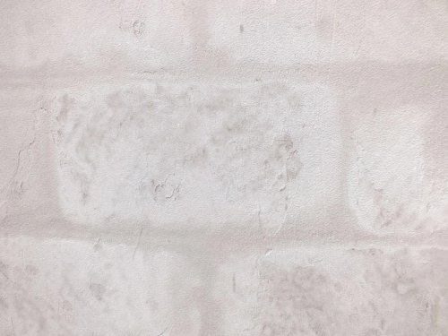 Top 6+ Textured Wall Treatments Adding Depth to Interior Spaces