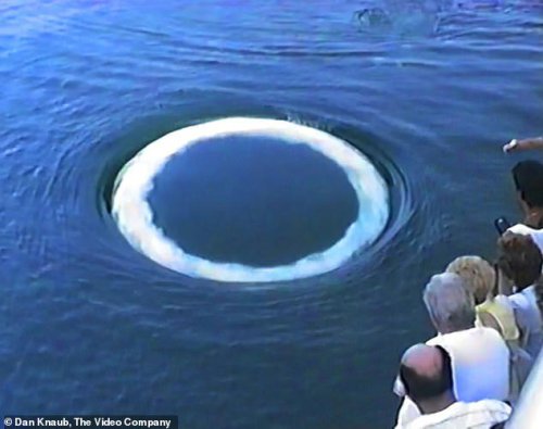 Scientists identify strange 'communication' of non-human intelligence in Earth's oceans