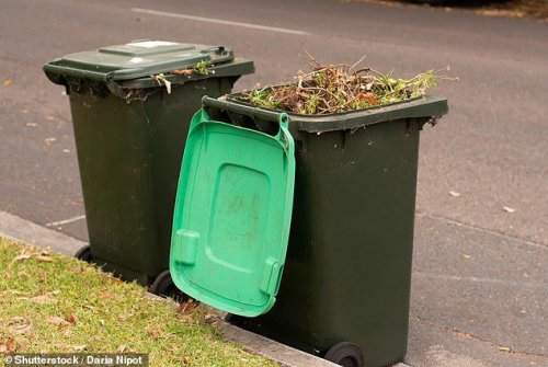 Major bin change coming to Australian city: What you need to know