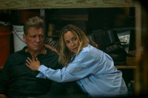 Dark TV show 'like Ozark' dominates Netflix charts