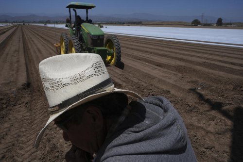 ICE raids and their uncertainty scare off workers and baffle businesses