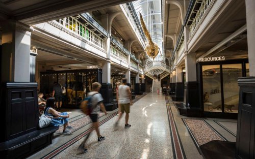 This woke museum has just been named Europe&rsquo;s best &ndash; and rightly so