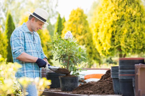 1. Water wisely, 2. Mulch the surface, 3. Don&rsquo;t buy new plants, 4. Take hanging baskets down, 5. Pick vegetables which are likely to bolt, 6. Find shade, 7. Huddle patio pots, 8. Look after wildlife, 9. Leave your grass, 10. Plant drought-tolerant species, 11. Improve your soil, 12. Use a water butt, An expert guide to looking after your lawn and garden during a heatwave