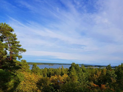 Top 8 Countries With the Cleanest Air in the World