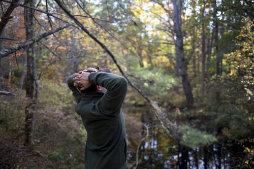 This is why contact with nature is good for your health