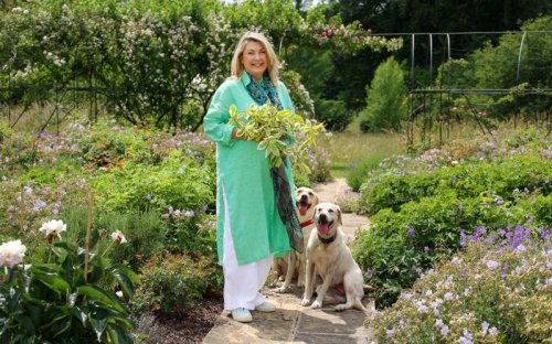 Lady Carnarvon of Highclere: &lsquo;I walk my pony in the garden, sometimes I bring her into the house&rsquo;