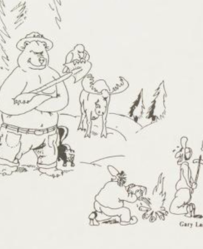 Top 10+ Best The Far Side Comic Strips From The '70s, Ranked