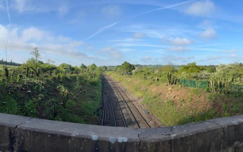 Network Rail &lsquo;wrongly&rsquo; felled 300 trees