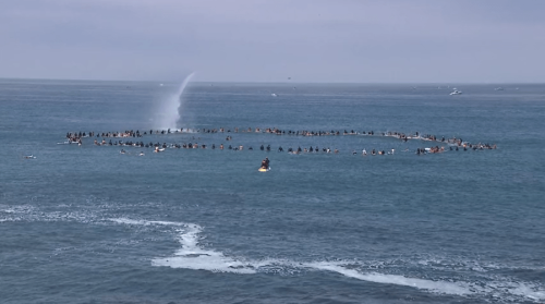 San Diego honors surf icon Mike Hynson with posthumous paddle out on 83rd birthday