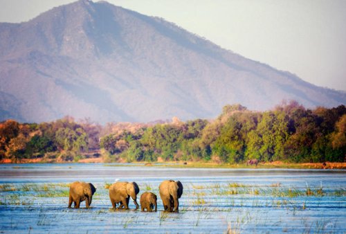 Zimbabwe is Africa's best-kept safari secret