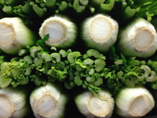 It's easy being green. The color green is the subject for July's Readers Photo Challenge