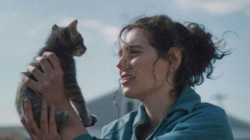 Review: &lsquo;Sorry, Baby' captures trauma's quiet aftermath