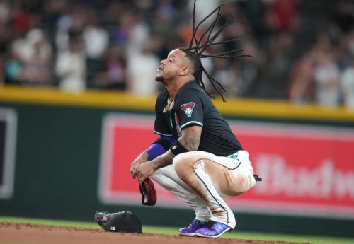 Diamondbacks ban fan who reached over fence on fly ball vs San Francisco Giants