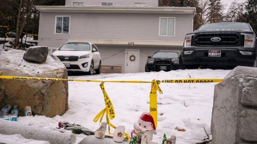 Some documents in Kohberger case have been unsealed. The public must wait for more records that might shed light on murders