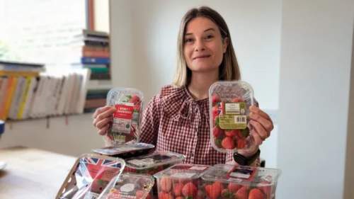 I tried 14 supermarket strawberries &ndash; one was a clear favourite