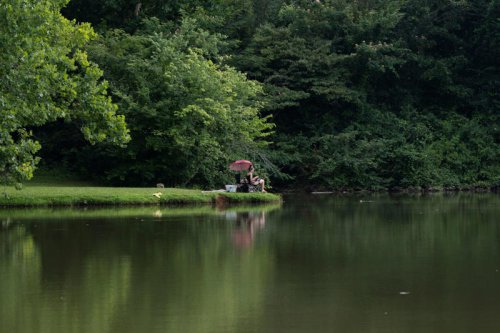 What are the best lakes to go fishing in Tennessee? These are ranked as the top spots in the state