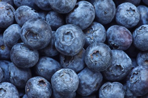 Which Berry Has The Most Health Benefits? Dietitians Weigh In