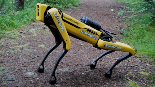 Sci-Fi Meets Reality: The 20 Coolest Robots That Exist In The World