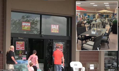 Trees n Trends to close all stores after 30 years in business