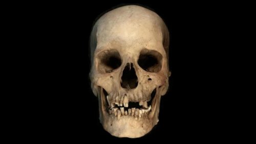 Ancient potter DNA rewrites Egyptian history