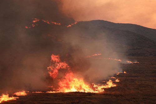 California&rsquo;s Madre Fire surges across 52,000 acres to become state&rsquo;s biggest blaze this year
