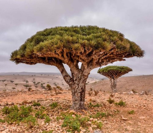 The 15 Most Exotic Countries in the World