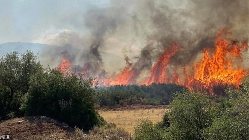 Greece evacuates civilians near Athens in the latest tourist hotspot to be hit by wildfires