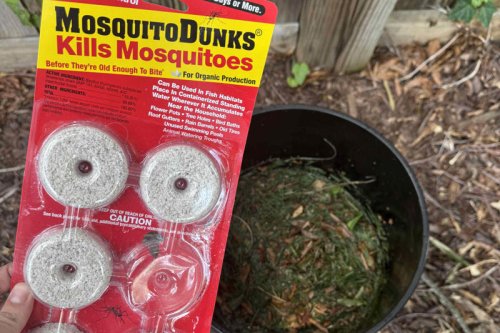 I Tried The Mosquito 'Bucket Of Doom' To See If It Actually Works
