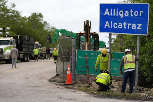 Food truck companies face backlash for catering &lsquo;Alligator Alcatraz&rsquo;