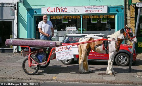 Shop owner forced to resort to using horse and cart for deliveries