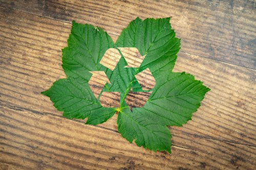 Top 12+ Eco Habits That Backfire on the Planet