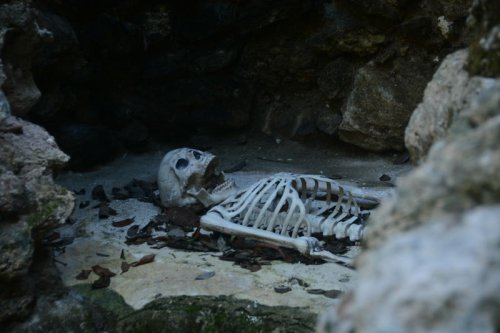 Montevideo&rsquo;s Buried Bones: Fossils Beneath Uruguay&rsquo;s Capital Streets