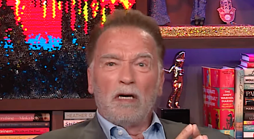 Arnold Schwarzenegger Reveals &lsquo;Terminator&rsquo; Movie He Thought Was The Worst By Far