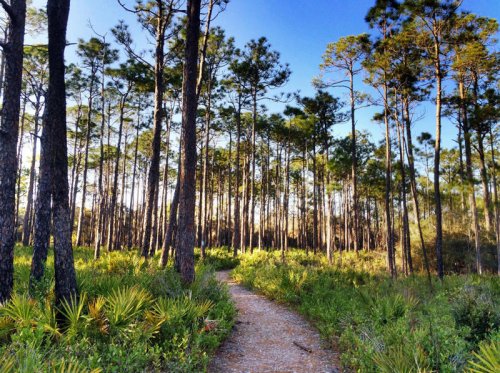 Caribbean calling? Southern Living lists 20 Florida beaches for tropical getaway without hassle