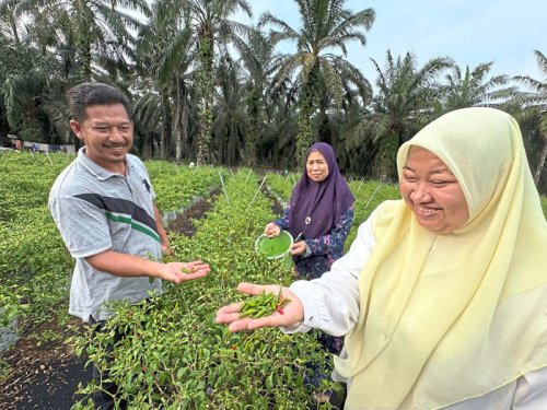 Turning Selangor farms into tourist attractions