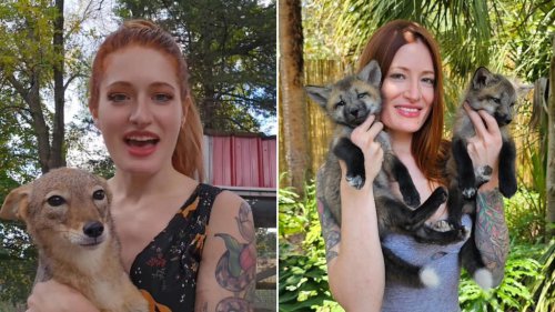 YouTube star dies by suicide aged 29