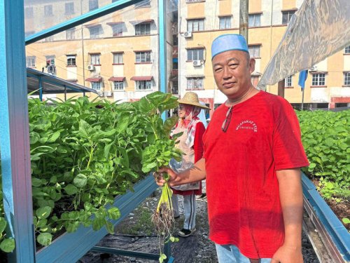 Community farming takes root in Johor