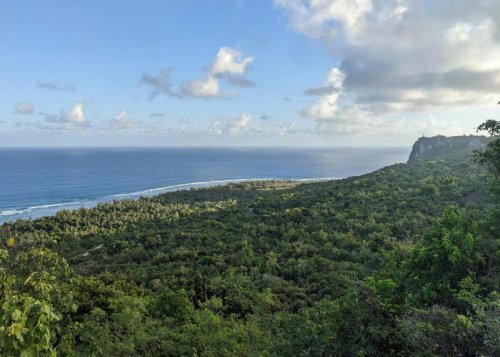 Remote cave discovery shows ancient voyagers brought rice across 2,300km of Pacific Ocean
