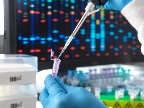 Scientists want to create human DNA from scratch
