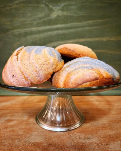 A Game-Changing Mexican Bakery Is Setting Up Shop in New England