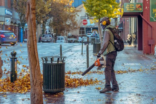 Why Leaf Blowers Are Quietly Being Outlawed Across the Country