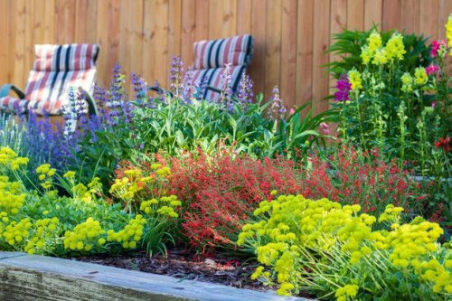 Ditch the thirsty grass: 'Garden In A Box' helps Coloradans save water, beautify yards