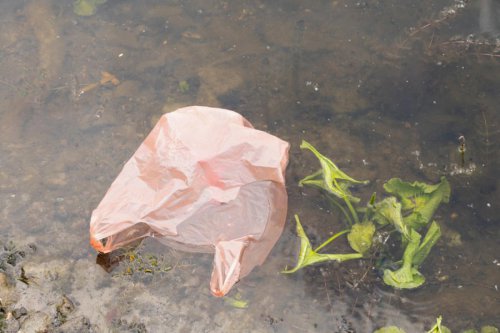 Plastic bag fees and bans are working&ndash;big time, researchers say