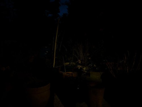 Android camera phone face-off: I compared the Galaxy S25 Ultra, Pixel 9 Pro, and OnePlus 13 &ndash; and there's a clear winner